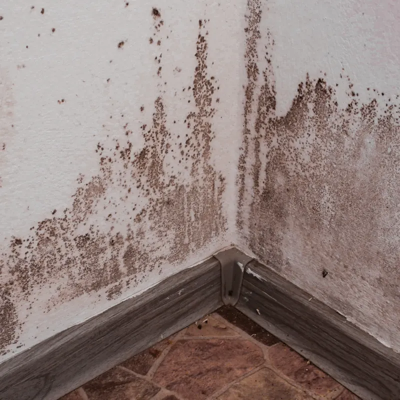 Damp Proofing by All Fix Roofing